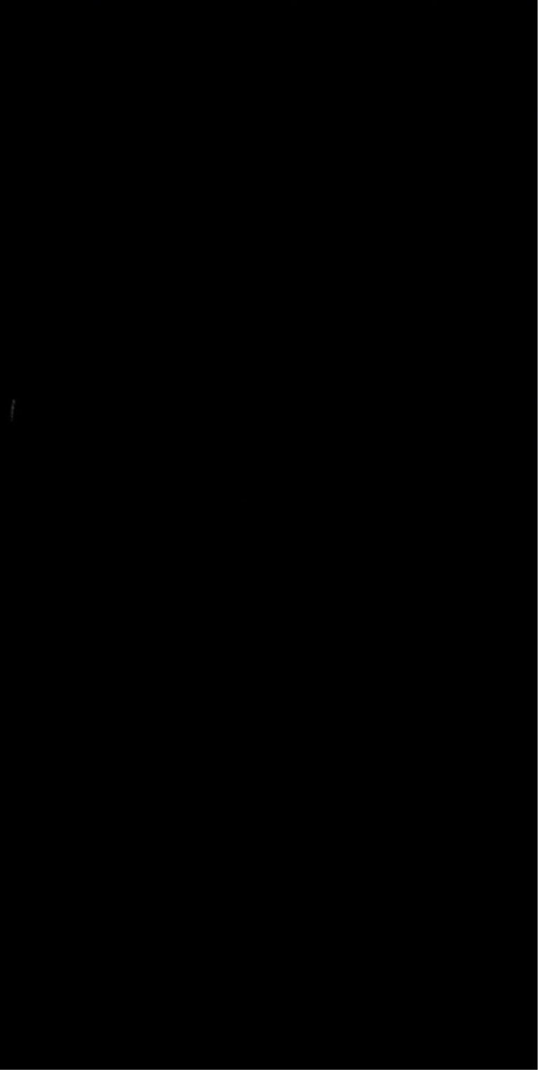 z black 1